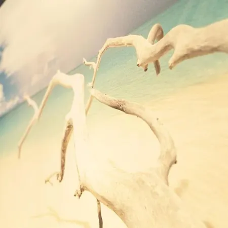 Columela By Gades Gestion *