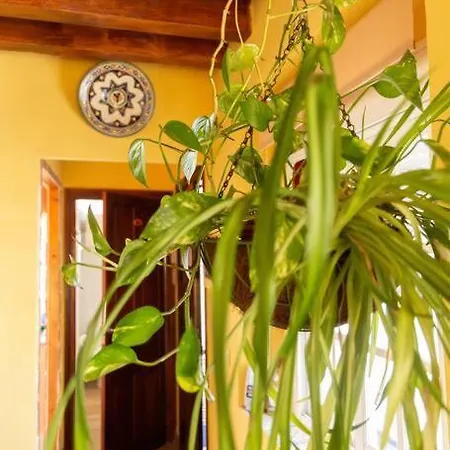 Apartment Columela By Gades Gestion *