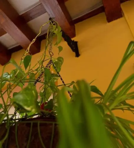 Apartamento Columela By Gades Gestión Cádis