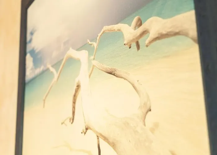 Columela By Gades Gestión *