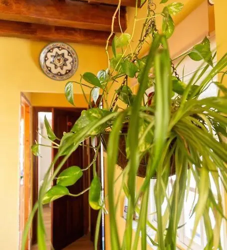 Apartamento Columela By Gades Gestión *