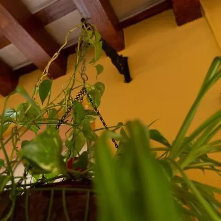 아파트 Columela By Gades Gestion 카디스